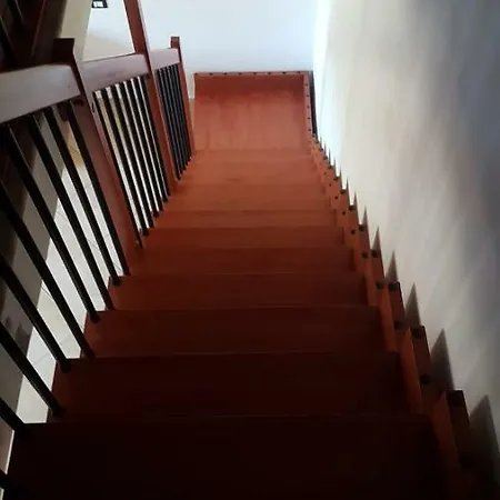 Darius Palace